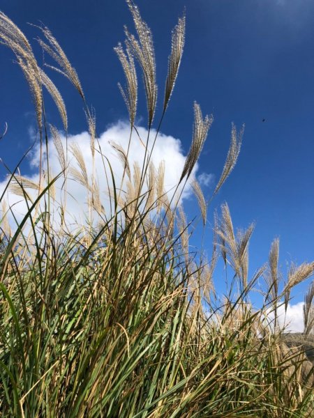 大屯山西峰542114