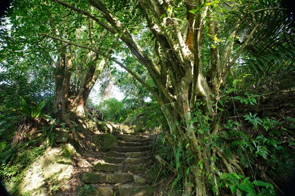 新北 三峽-土城 大暖尖山、火焰山、石門內尖山、十八羅漢岩、成福山3016609