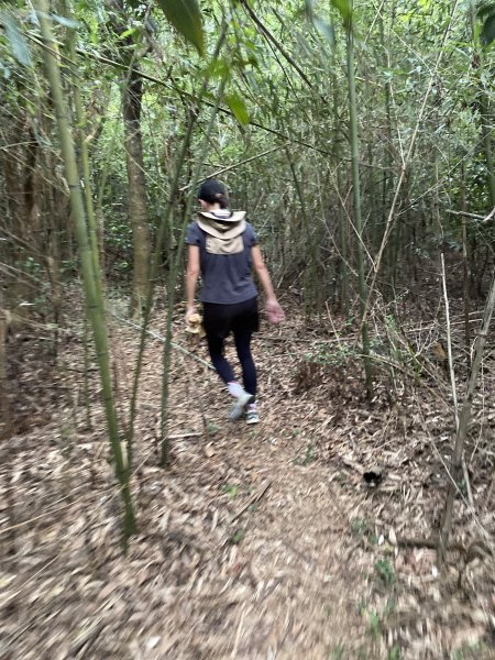 20250705-Ep.04三段崎古道-2025森遊竹縣皮皮獅探險隊2851515