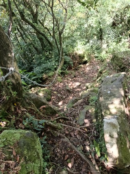 雙溪區不厭亭+牡丹山+樹梅坪+鷹石岩山神廟+不厭亭+奉憲示禁碑+三貂崙+不厭亭8字走2766296