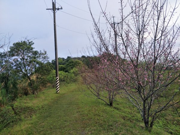 小百岳:月眉山1612233