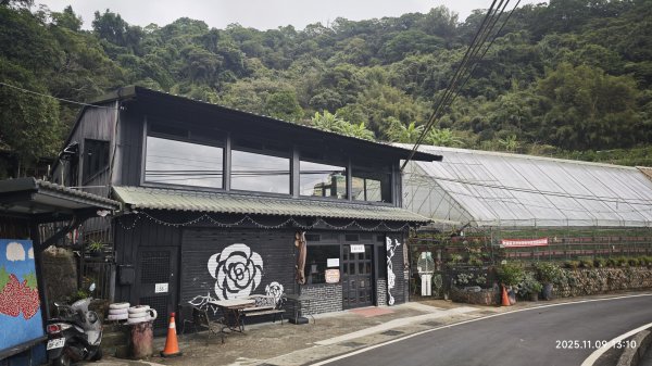 20251109 士林站到大湖站(福山宮_腰繞_燕溪古道_翠山步道_龍船岩_大溝溪)2932355