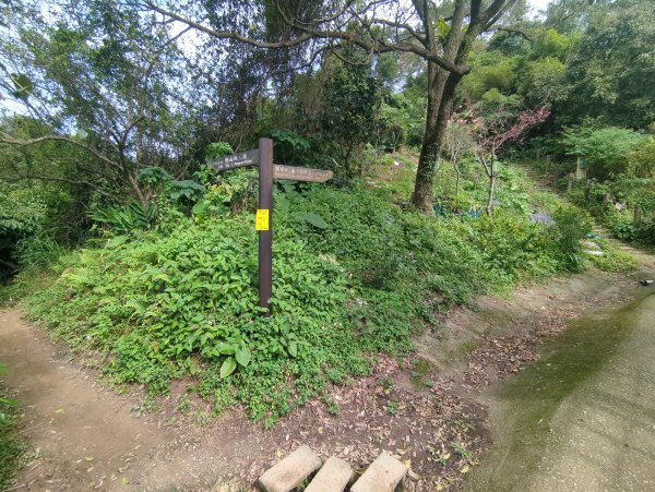 2026.01.25－微笑山線：【天上山系】烘爐地土地公段2994604