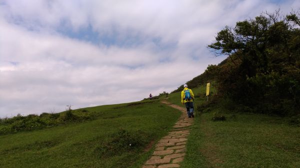 頂山,石梯嶺,竹篙山連走!165133