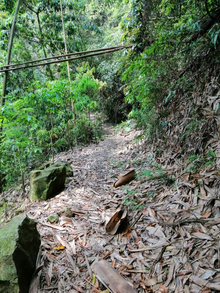 地震後的自然遺跡#47小百岳~九份二山749727