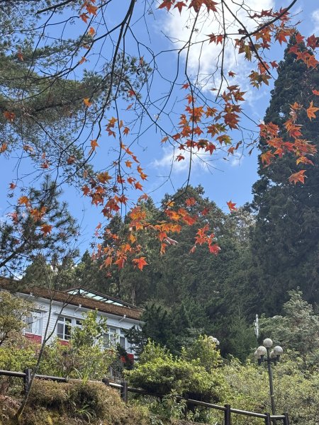 20251225塔山步道(大塔山)2970477