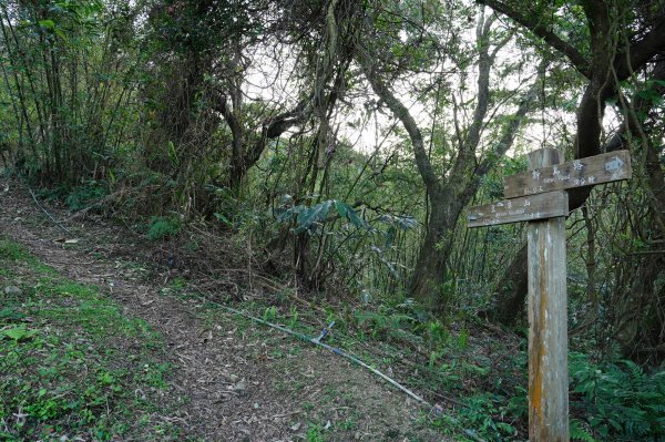 新北 新店 直潭山、二龍山2703888