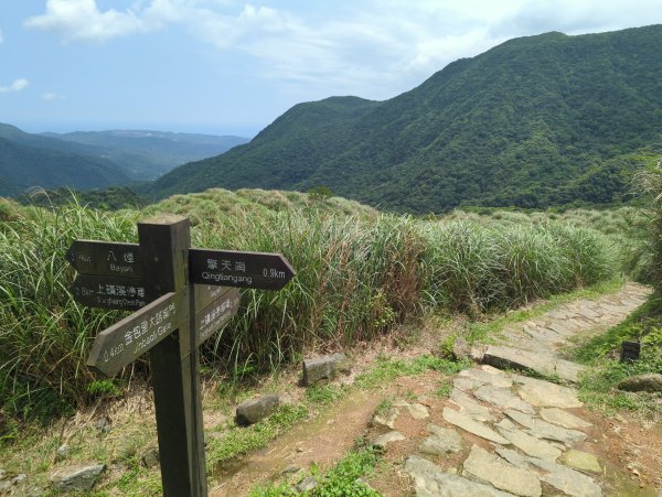 2025.04.27－金包里大路~小油坑縱走2770932
