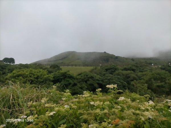 臺北大縱走第三段：小油坑至風櫃口2840572