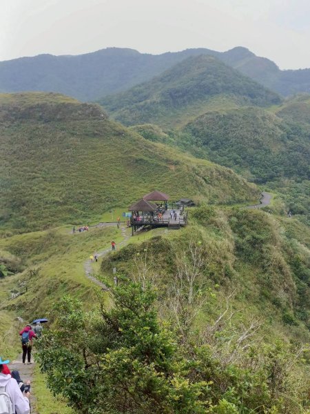🌈11/2草嶺古道~桃源谷~灣坑頭山~大里天公廟✨FB：熊熊趴爬走🌈2928842