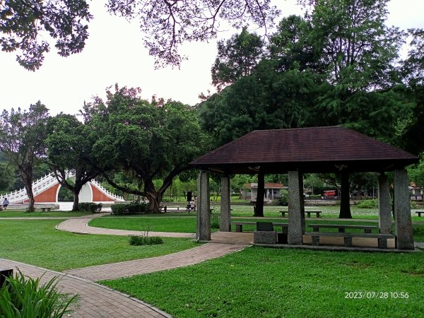 大湖公園、大湖山莊街 2-1【走路趣尋寶】2261298