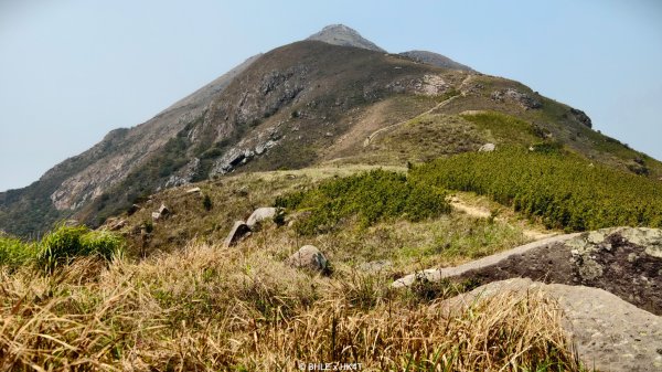 【海外健行】香港四徑 The Four Trails3031671