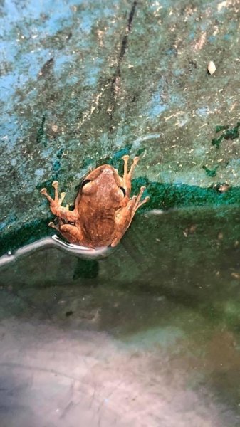 華山步道群1423598