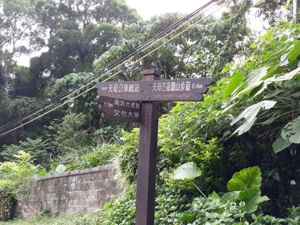 天母水管路步道(天母古道)及下竹林步道412346