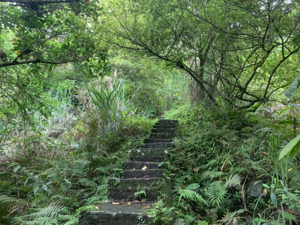 大崎棟古道、騎龍古道2772309