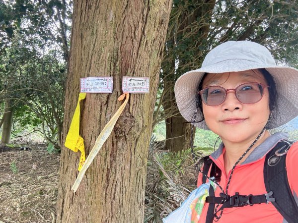 太元宮-關西玉山前-玉山/南柯山-東獅頭山/赤柯山南峰-赤柯山-太元宮 O繞2958076