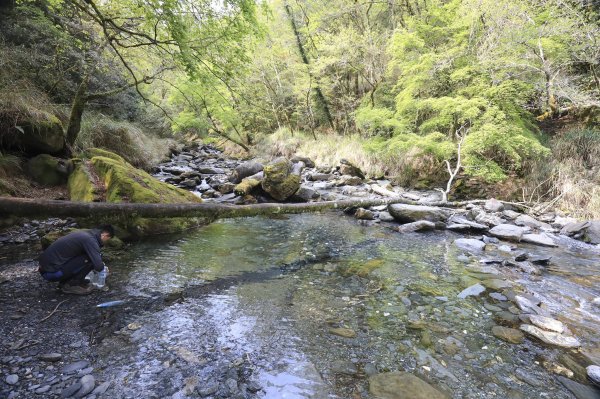 奇幻之旅~屏風上奇萊563769