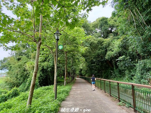 【台中外埔】沿著水圳散散步。 外埔水流東桐花步道1731457