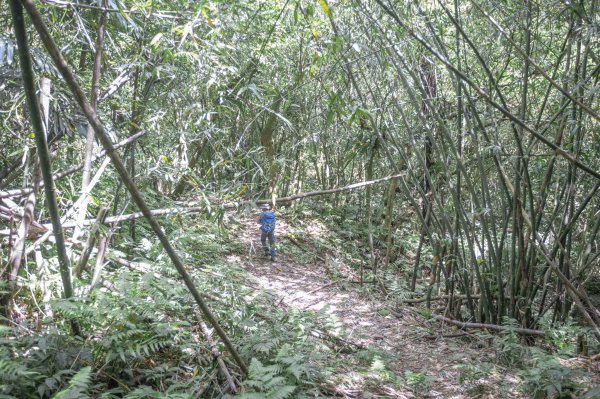 闊瀨古道-沿北勢溪谷而行的夏末之旅（淡蘭古道）2287645