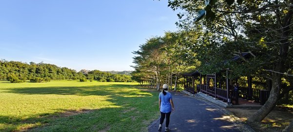 2025/11/09-青青草原步道2933451