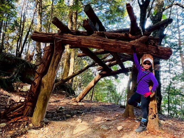 🌈11/15（六）松鶴上八仙山下森林遊樂區✨FB：熊熊趴爬走🌈2937662