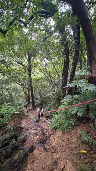 大雨後🙄2845390