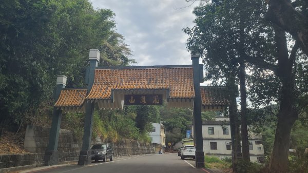 2020-1130飛鳳山O型1193880
