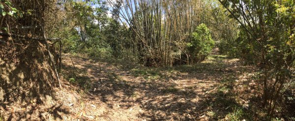 20220305高雄兔和山1633577