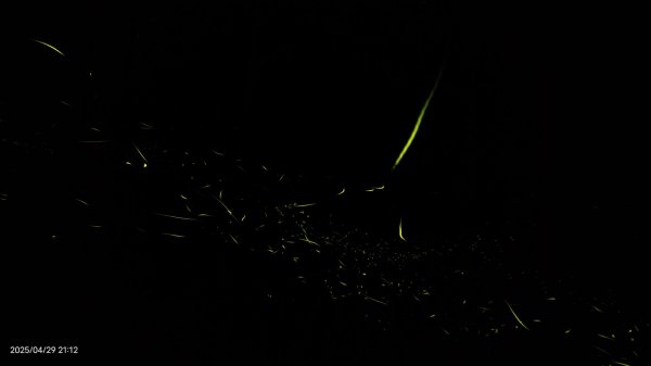 翡翠水庫壩頂 #火燒雲雲海 #日出雲海 #鱷魚島 #藍腹鷴 4/292773439