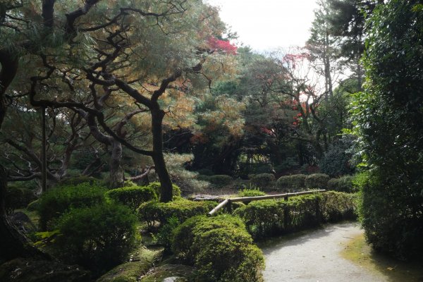 【海外健行】本山妙傳寺-平安神宮(御園)-哲學之道(大豐神社)散策1936068