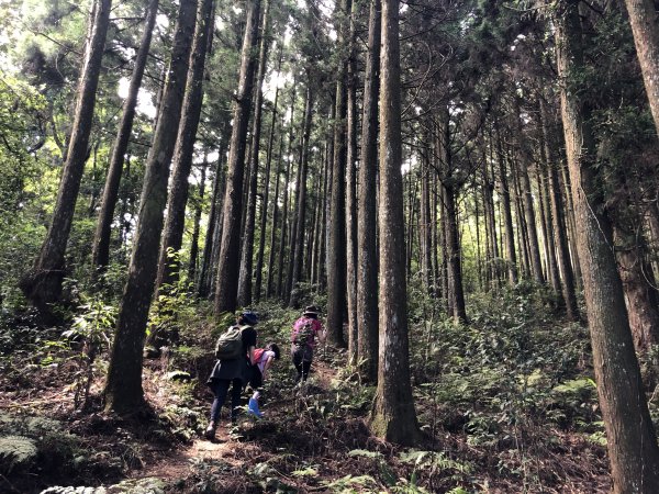 油羅山第三登山口往返999308