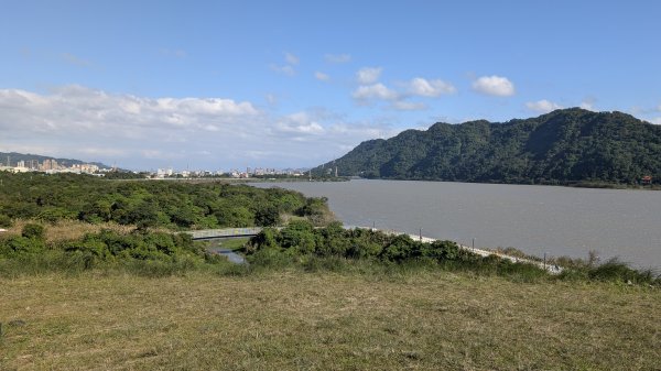 115.01.03山水步道-中庄吊橋-月眉落羽松之旅2977054