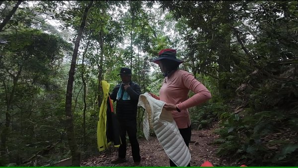 台中 鳶嘴稍來山O繞+稍來神木2989460