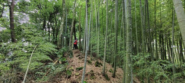 2025/07/06_金牌縱走(觀音洞出發小O型)2829096