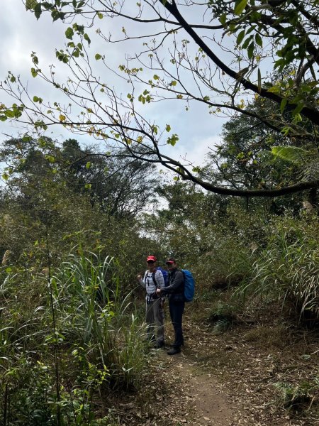 2025-01232淡蘭古道北二段(燦光寮古道到澳底)2696704