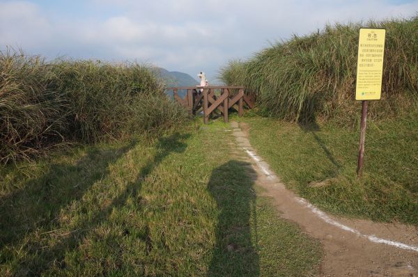 頂山線(風櫃嘴.頂山.石梯嶺.竹篙.擎天208438