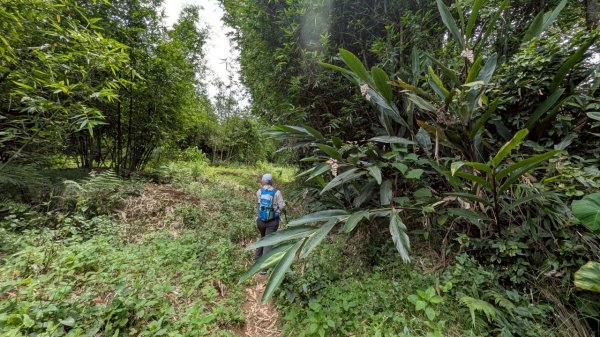 114.06.01溪山百年古圳-太平尾山+聖人崙之旅2801846