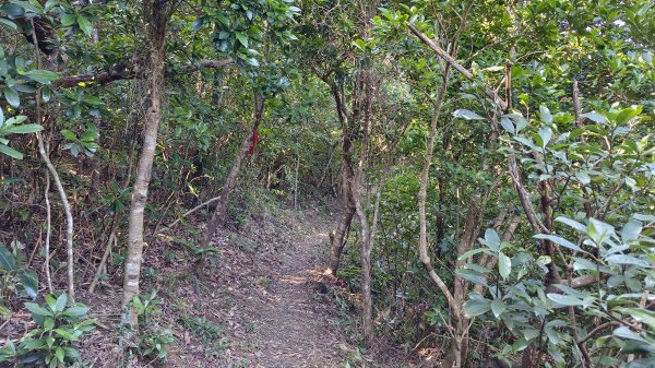貢寮區三貂角燈塔+萊萊越嶺古道+萊萊山+萊萊三叉峰+吳家古厝+舊草嶺隧道北口+福隆車站3001127