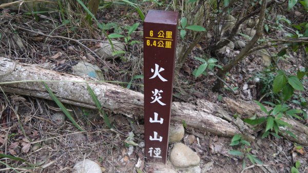 四訪火炎山登山健行趣(小百岳35號)1585028