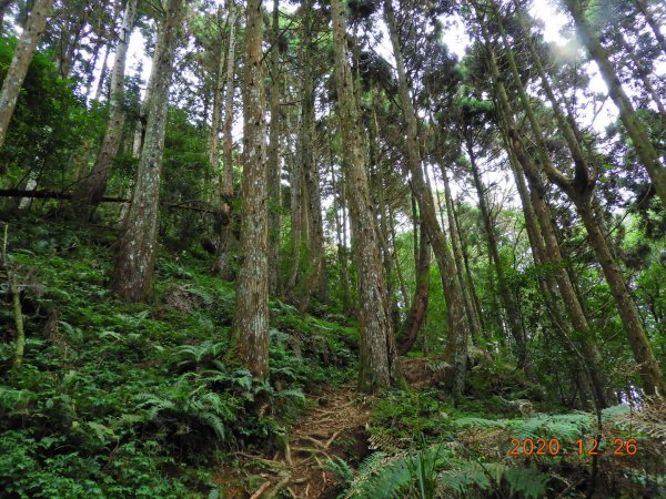 新竹 五峰 麥巴來山1217943