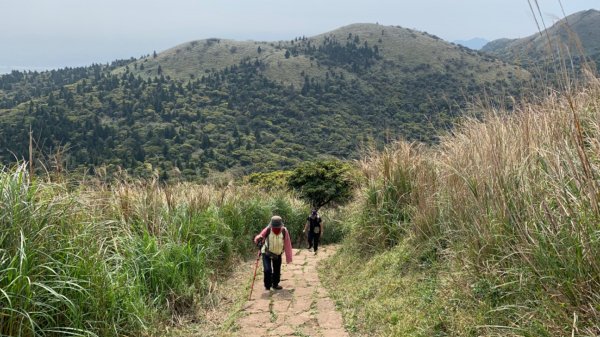 台北大縱走第二段1635043
