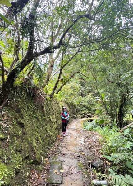 炮子崙瀑布2769569