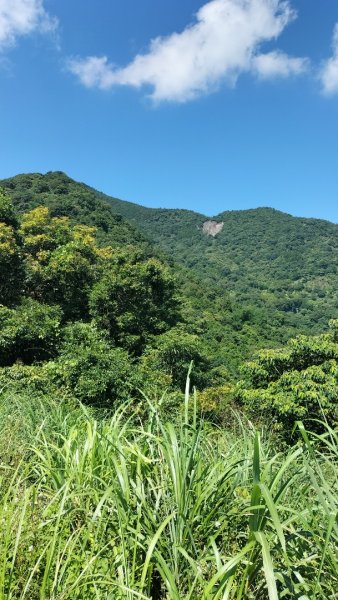 烏來大桶山腳下洦洦山澗、幽幽秘徑2542098