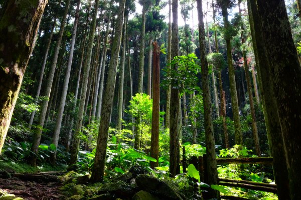 東滿步道登拉卡山1059413