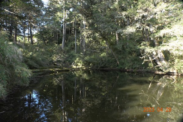 南投 仁愛 武法奈尾山2133779