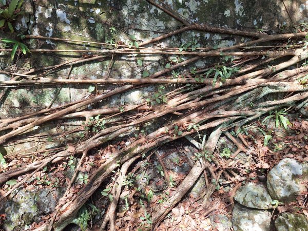 北關海潮公園202508312877152