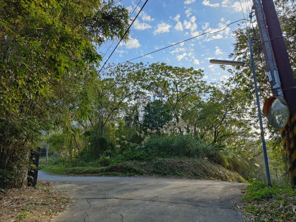 2024.01.07 橫山三叉埤、墩子銃古道2843811