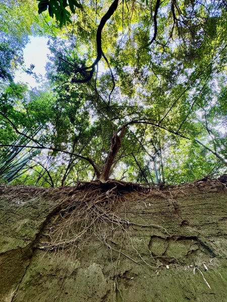 彰化一線天2657571