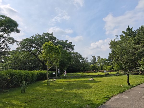 [霄裡好風光，運動樂悠遊！-6/10] 2025_0608 大湳森林公園2808216