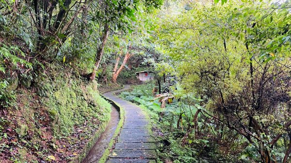 新北石門|老梅溪青山瀑布步道|台版奧入瀨溪|夏日消暑秘境|清涼親子景點1975451